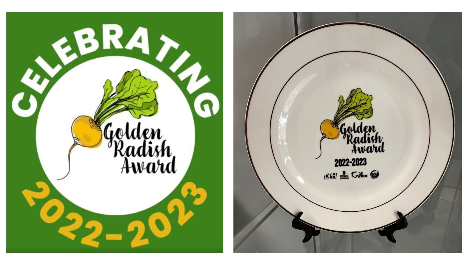 Golden Radish 2022-2023
